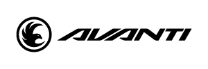 AVA_Logo
